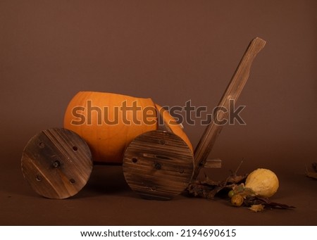 Digital background for newborn Halloween photo shoot, pumpkin carriage, real fresh produce