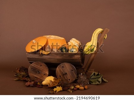 Digital background for newborn Halloween photo shoot, pumpkin carriage, real fresh produce