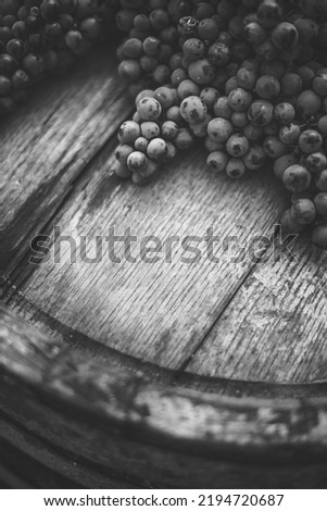 Grapes on the wooden wine barrel in the vineyard, Hungary