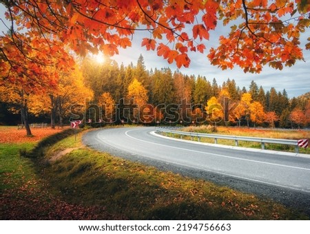 Road in autumn forest at sunset. Beautiful empty mountain roadway, trees with red and orange foliage. Colorful landscape with road through the woods in fall. Travel. Road trip. Transportation. Season Royalty-Free Stock Photo #2194756663