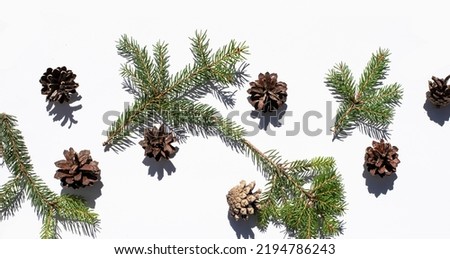 New Tear Christmas spruce cones, branches on a white minimalist style white light background for holiday decoration party. Copy space text template