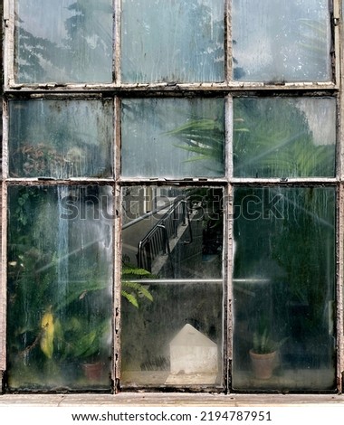 Old window glass of an orangery, green plants behind on the background, greenhouse, Exotic trees and bushes inside old orangery Royalty-Free Stock Photo #2194787951