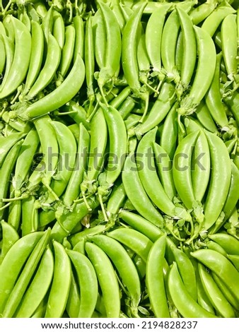 Fresh organic green pea (sweet pea, sugar pea, garden pea) group for sale in the big vegetable market center in Bangkok Thailand. Ingredient for cooking food and very good for healthy.