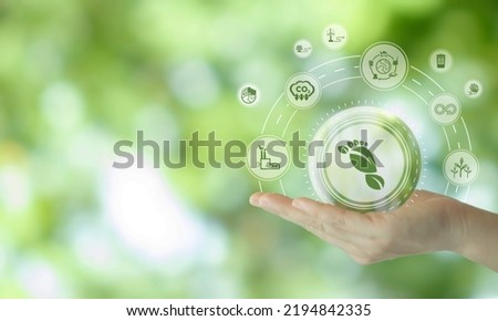 Reducing carbon footprint , net zero target, product recycling, circular economy concept. Environmental and limit climate change. Protection for reducing carbon footprint  on green view background. Royalty-Free Stock Photo #2194842335