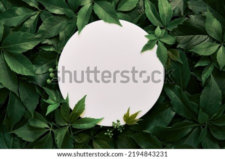 White round template podium mockup for natural organic cosmetic product presentation ad concept on green eco forest fresh leaves nature flat lay background, trendy stylish minimalist flatlay mock up Royalty-Free Stock Photo #2194843231
