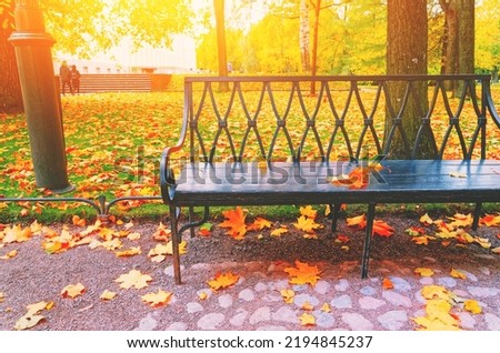 Morning landscape in autumn park. Orange red maple leaves on road. Yellow forest tree on background. Fall season nature scene beauty. Bench alley in city garden. Path in woods, scenery in sun street Royalty-Free Stock Photo #2194845237