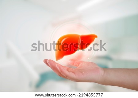 Hand of health personnel showing the liver. Hepatologist model of human organ. Examination for the detection of gastroenterological abnormalities Royalty-Free Stock Photo #2194855777