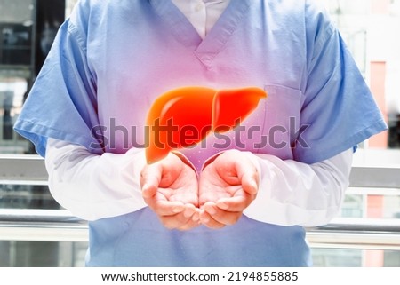 Examination for the detection of gastroenterology abnormalities. Medical technology. Hands of health personnel showing the liver. Hepatologist human organ model Royalty-Free Stock Photo #2194855885