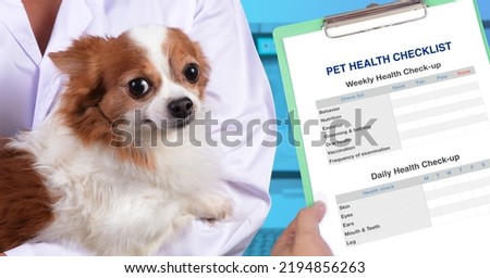 Veterinarian holding chihuahua in her arms and pet health check-up schedule in same picture.