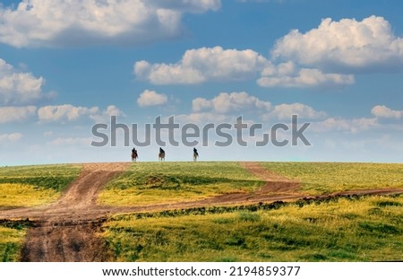 Small hill in the and center three cowboys, horsemen. 3 young people going horse ride in the distance, sunny summer day. Horseback riding on a mountain. Galloping sport thoroughbred horses  in a field