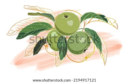 composition of green apples with leaves, golden outline, on a colored background. vector illustration