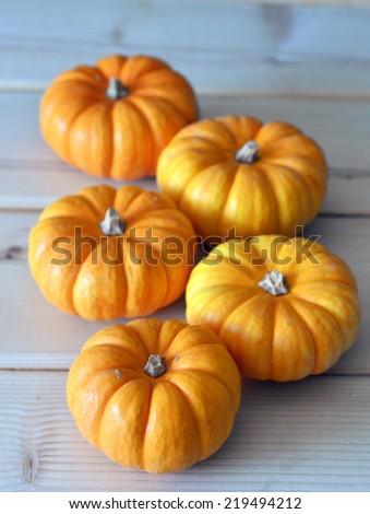 Pumpkin orange ripe for a fresh round of beautiful autumn holiday.