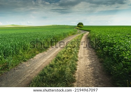 A dirt road through huge green fields, spring rural view, eastern Poland Royalty-Free Stock Photo #2194967097