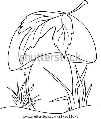 Vector illustration. Boletus in the grass. With a maple leaf on top. Black and white. For postcards and fairy tales. For coloring. Autumn vibes.