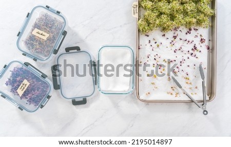 Flat lay. Packaging freshly harvested organic sprouts into a glass container lined with paper towels. Royalty-Free Stock Photo #2195014897