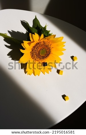 Abstract composition with sunflower and yellow pixel toys. New technology of pixel art