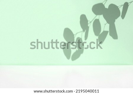 Plant shadows on neutral color wall. Leaves shadow background. Branches, flowers and foliage on pastel studio background. Product presentation, Minimal mock up for advertising. Trendy Overlay effect.
