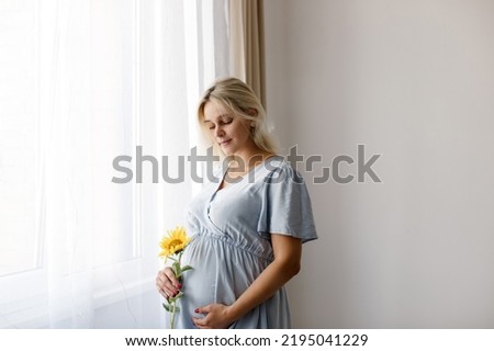A pregnant woman holds a sunflower against her belly near the window at home. Concept of pregnancy.