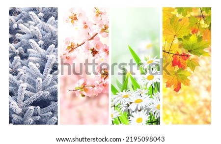 Four seasons of year. Set of vertical nature banners with winter, spring, summer and autumn scenes. Nature collage with seasonal scenics. Copy space for text Royalty-Free Stock Photo #2195098043