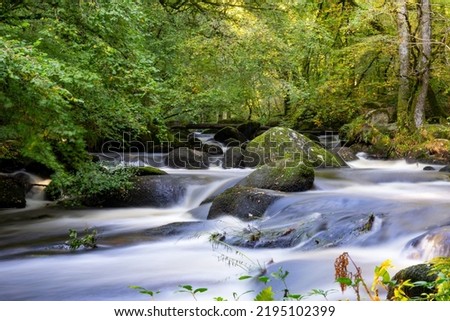 Long exposure on the silver river in the Huelgoat forest in Brittany 