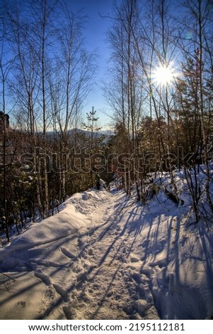 Winter path through bohemian wilderness