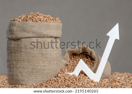 World food crisis. Grains of wheat, close-up. Grain harvest, poor harvest. Wheat price, futures derivatives contracts Royalty-Free Stock Photo #2195140265
