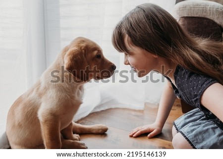 A girl is playing with a cute labrador retriever puppy. New family member. The concept of care and care, love and friendship for animals Royalty-Free Stock Photo #2195146139