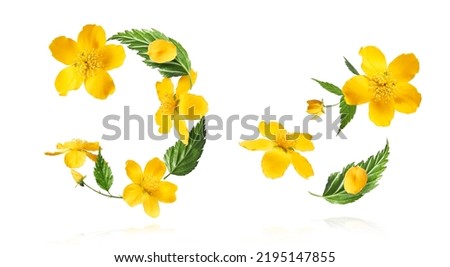 A clipart set with beautiful images of spring yellow flowers flying in the air isolated on white background. Levitation conception.
