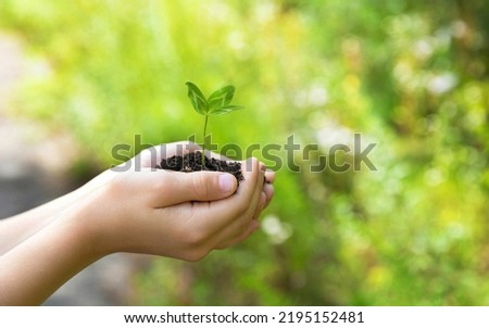 The child holds in his hands a handful of earth in which a sprout or seedling grows against a background of beautiful green and yellow bokeh. Environmental protection. Selective focus.
