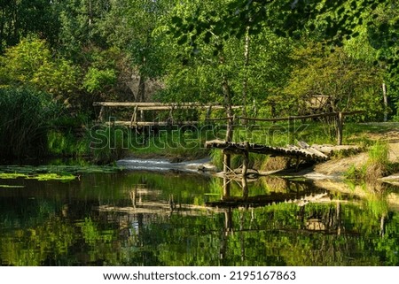 Lake with a bridge. Cozy rest. Abandoned reservoir. Leisure time in nature. Bridge in the swamp