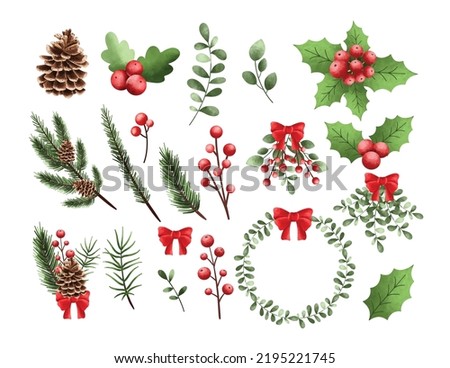 Watercolor Illustration set of Christmas plant ornaments