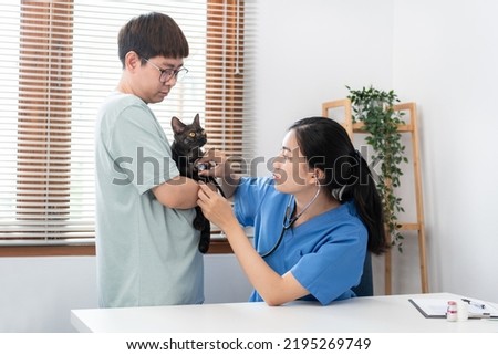 Veterinarian woman in blue uniform checks the health of pet appointment on a metal table while listening to the heart of a lovely cat with stethoscope in veterinary clinic.