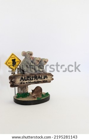 Decorative souvenir from australia isolated on white background.