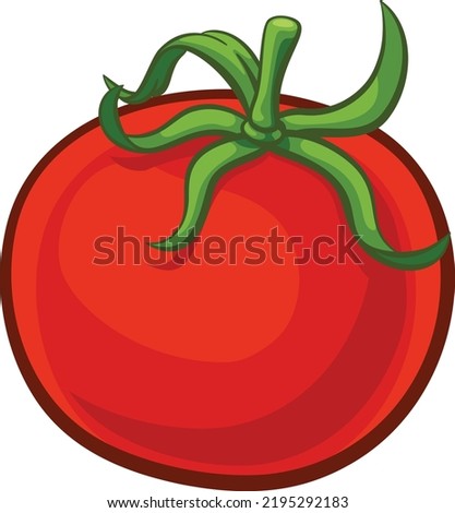 A cartoon illustration of a tomato vegetable.