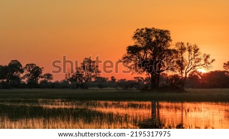 peaceful sunset over the flood plains in the Okavango Delta. Botswana