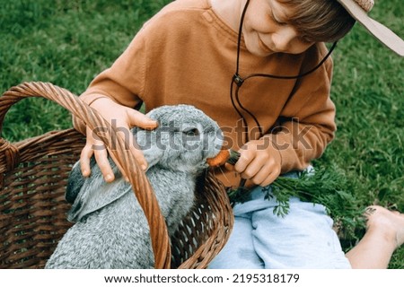 A gray rabbit eating a carrot, looking out of the basket. The child feeding the animal while sitting on the grass. outdoor. High quality photo