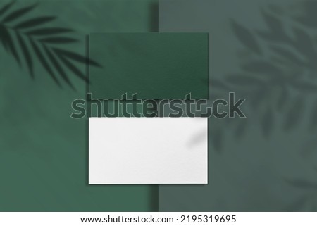 Luxury business card mockup with leaf shadow overlay