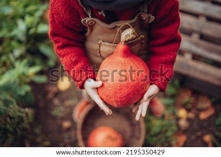Close-up of little girl in autumn clothes harvesting organic pumpkin in her basket, sustainable lifestyle.