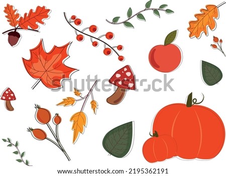 Set with autumn leaves, fruits and harvest. Pumpkin, mushrooms and berries. Vector illustration.