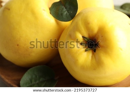 Fresh ripe organic quinces with leaves, closeup