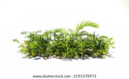 Garden design isolated on white background. Green plants for landscaping. Decorative shrub and flower bed.