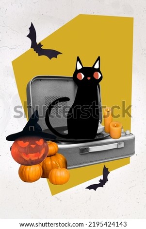 Collage photo of little sitting black cat music recorder player light candles angry horrible jack lantern halloween isolated on painted background