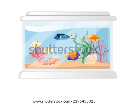 Big glass aquarium with different tropical fishes sand corals and shells vector illustration on white background