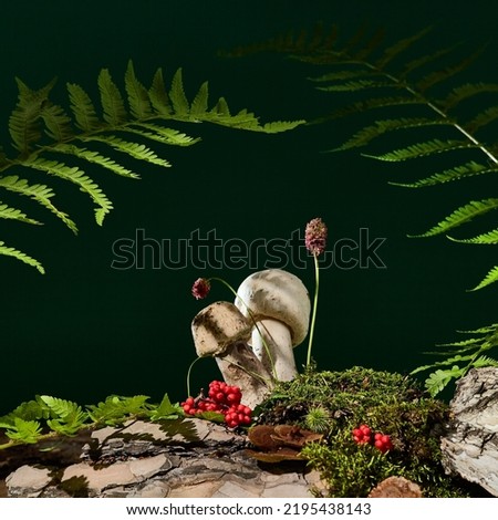 Dark background with mushrooms, bark tree, moss and fern leaf. Forest background with white mushrooms and nature elements. Forest mockup. Champignons in nature Royalty-Free Stock Photo #2195438143