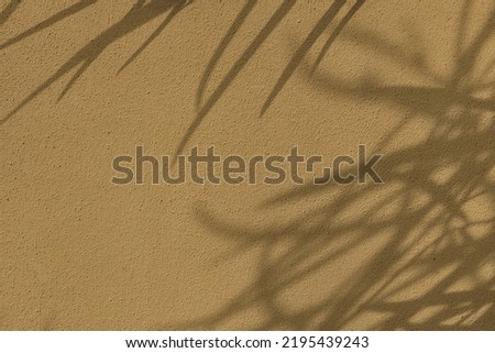 Delicate leaves shadows on beige concrete wall texture with roughness and irregularities. Abstract trendy colored nature concept background. Copy space for text overlay, poster mockup flat lay 