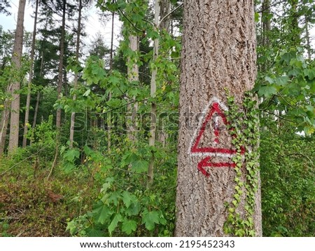 Painting on tree in forest of a danger sign