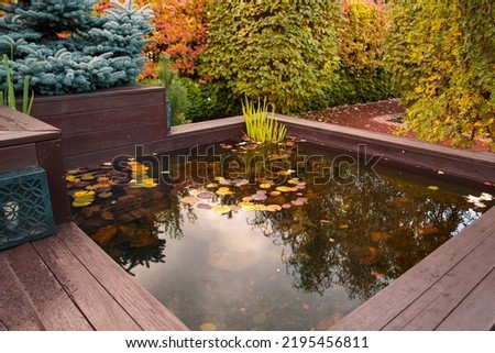 Decorative pond with water lily leaves and reflections of trees in the water. Autumn park. Beauty of nature.