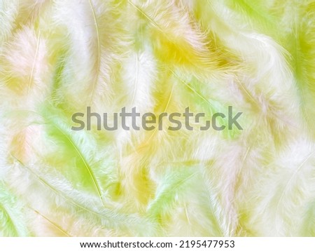 abstract textured background delicate colorful beautiful feathers