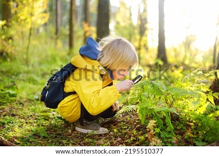 Preschooler boy is exploring nature with magnifying glass. Little child is looking on leaf of fern with magnifier. Summer vacation for inquisitive kids in forest. Hiking. Boy-scout Royalty-Free Stock Photo #2195510377