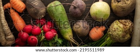 Root vegetables on a wooden background, different types of radish with beetroot and parsley and carrots, organic farm vegetables banner Royalty-Free Stock Photo #2195511989